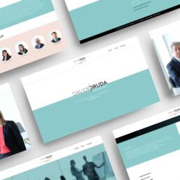 Druda | Graphic Design | website | Vittoria Brondin 06