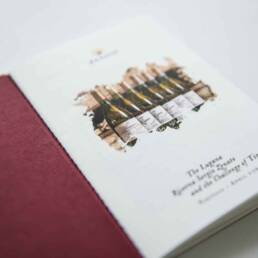 Zenato | Graphic Design | Vittoria Brondin 04