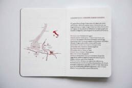 Zenato | Graphic Design | Vittoria Brondin 07