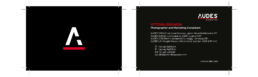 Audes Group | Graphic Design | Vittoria Brondin 1