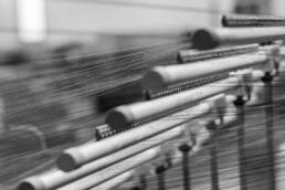 Fratelli Tallia di Delfino | Graphic Design | Vittoria Brondin 13