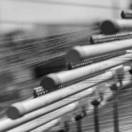 Fratelli Tallia di Delfino | Graphic Design | Vittoria Brondin 13