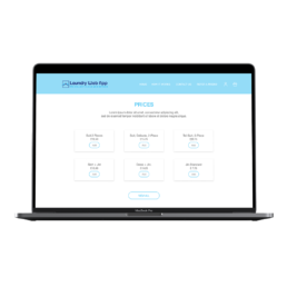 Laundry Web App | Graphic Design | Vittoria Brondin 1