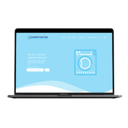 Laundry Web App | Graphic Design | Vittoria Brondin 3
