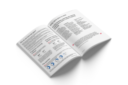 Bank of America | Graphic Design | Vittoria Brondin | Ireland gender pay gap